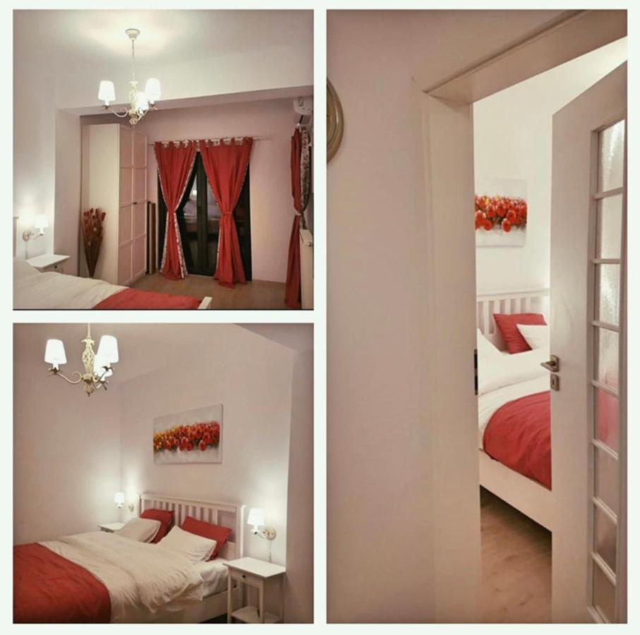 Năvodari Eqinox Apartments מראה חיצוני תמונה
